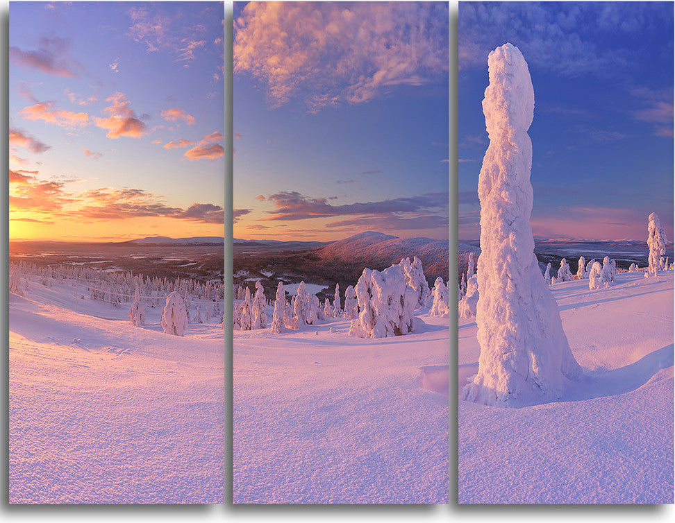"Frozen Trees on Mountain Panorama" Metal Wall Art, 3 Panels, 36"x28"