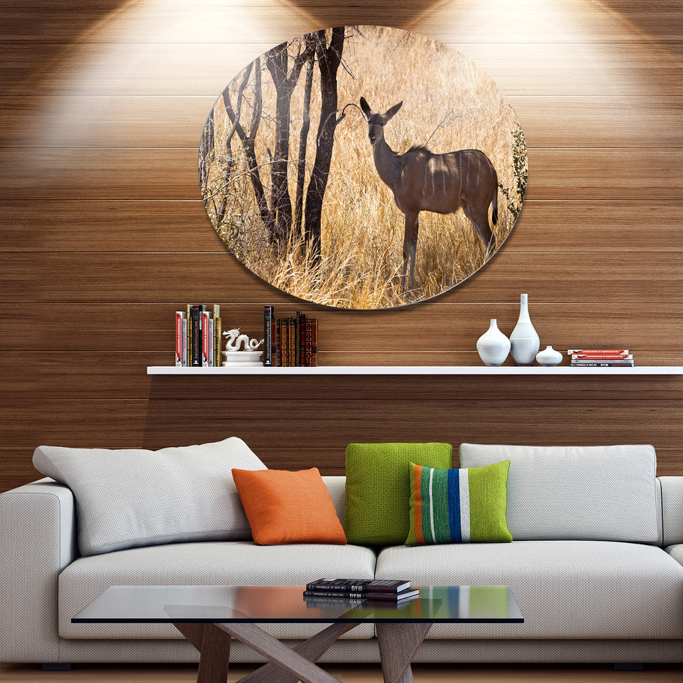 Grants Gazelle Standing In Long Grass, Animal Round Wall Art, 36"