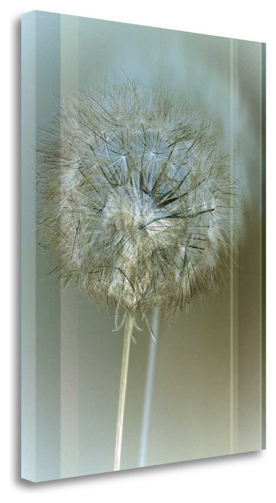 "Flaura II" By W. Blake, Giclee Print on Gallery Wrap Canvas, Ready to Hang