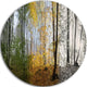 Forest In Early Morning, Landscape Photo Disc Metal Artwork, 38"