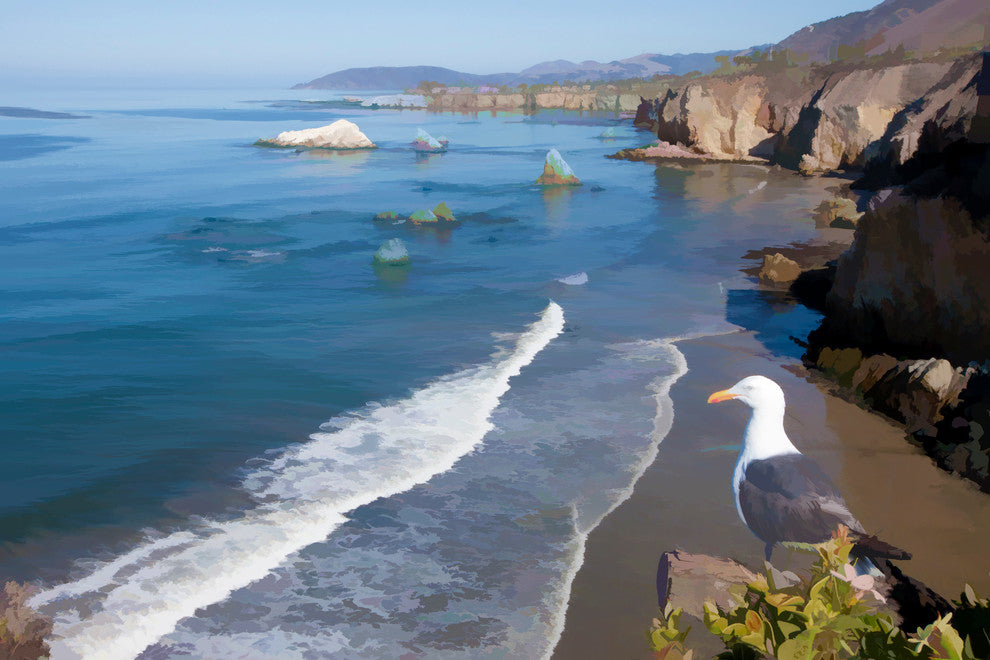 Pismo Seagull, Canvas Giclee, 18"x12"