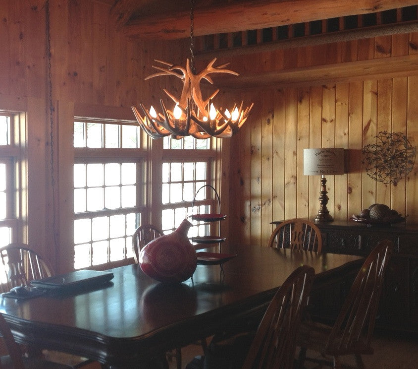 Whitetail Deer Single Tier Antler Chandelier Light, Large, Rawhide Shades