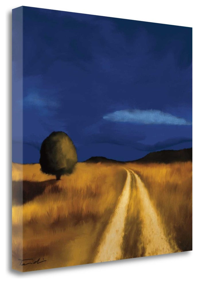 "The Way Home" By Tandi Venter,Ready to Hang Giclee Print on Gallery Wrap Canvas