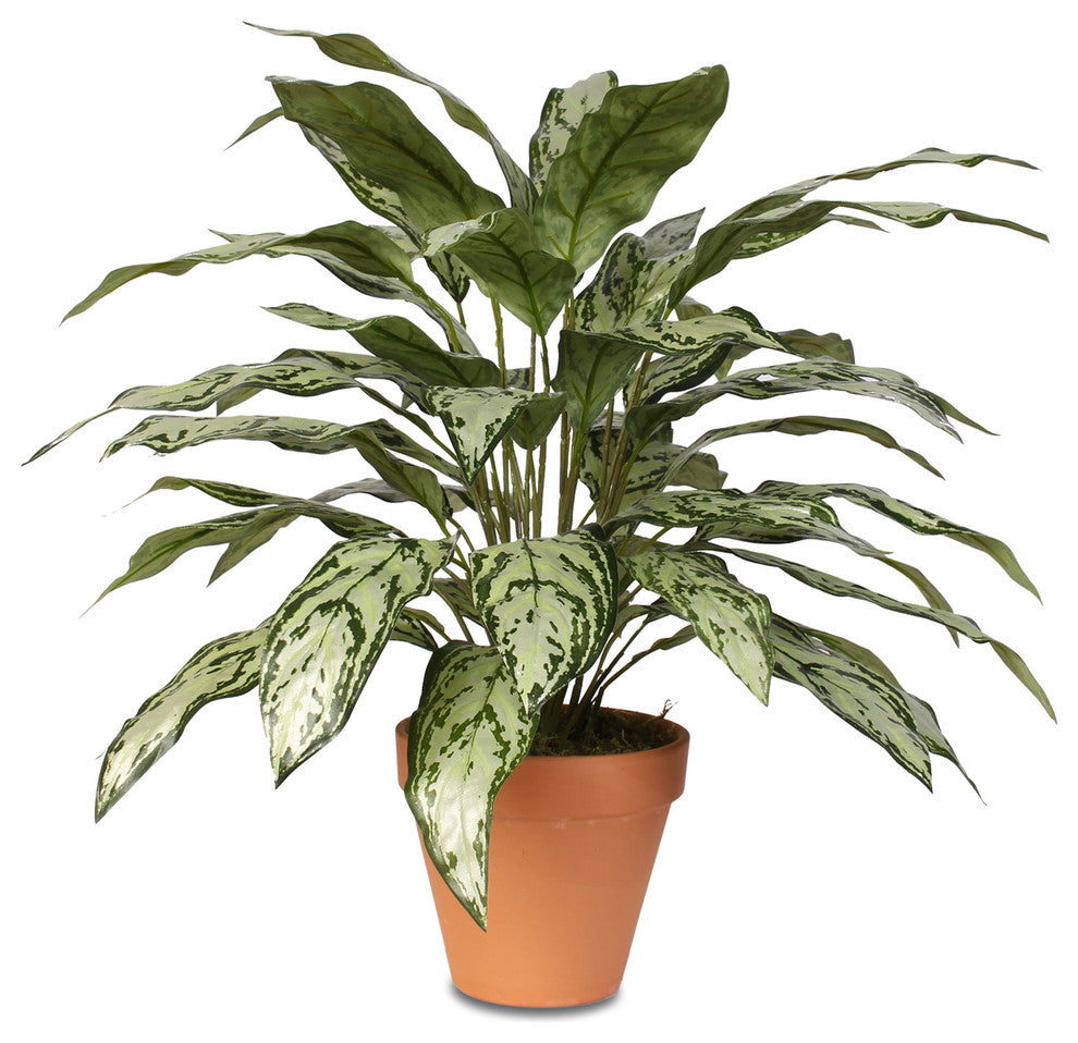 Green and Silver Artificial Silver Queen Silk Plant in Clay Pot