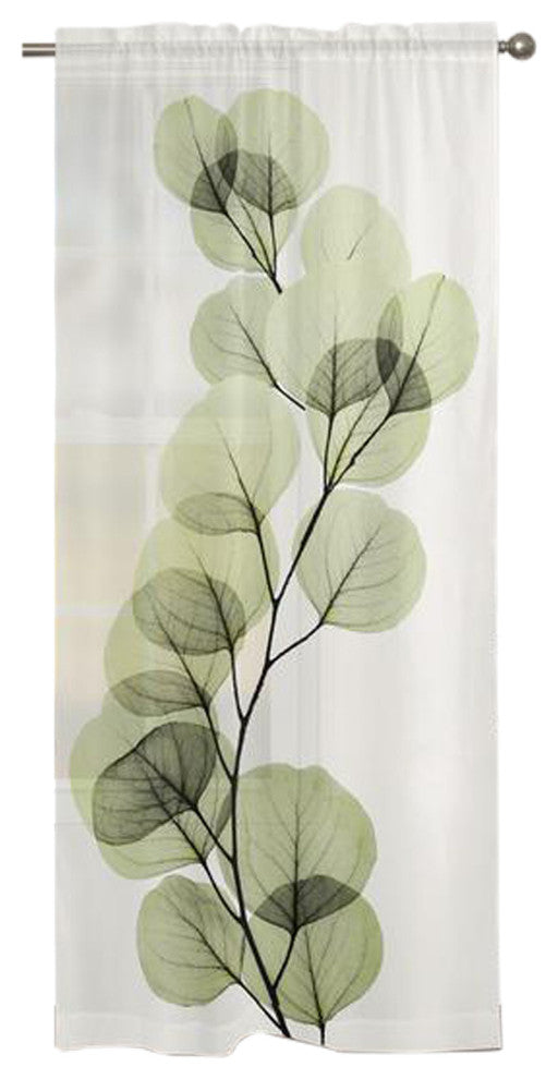 Laural Home Eucalyptus Sheer Window Curtain