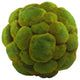 Medium Moss Sphere