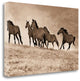 "Kicking Dust" By Lisa Dearing,Ready to Hang Giclee Print on Gallery Wrap Canvas