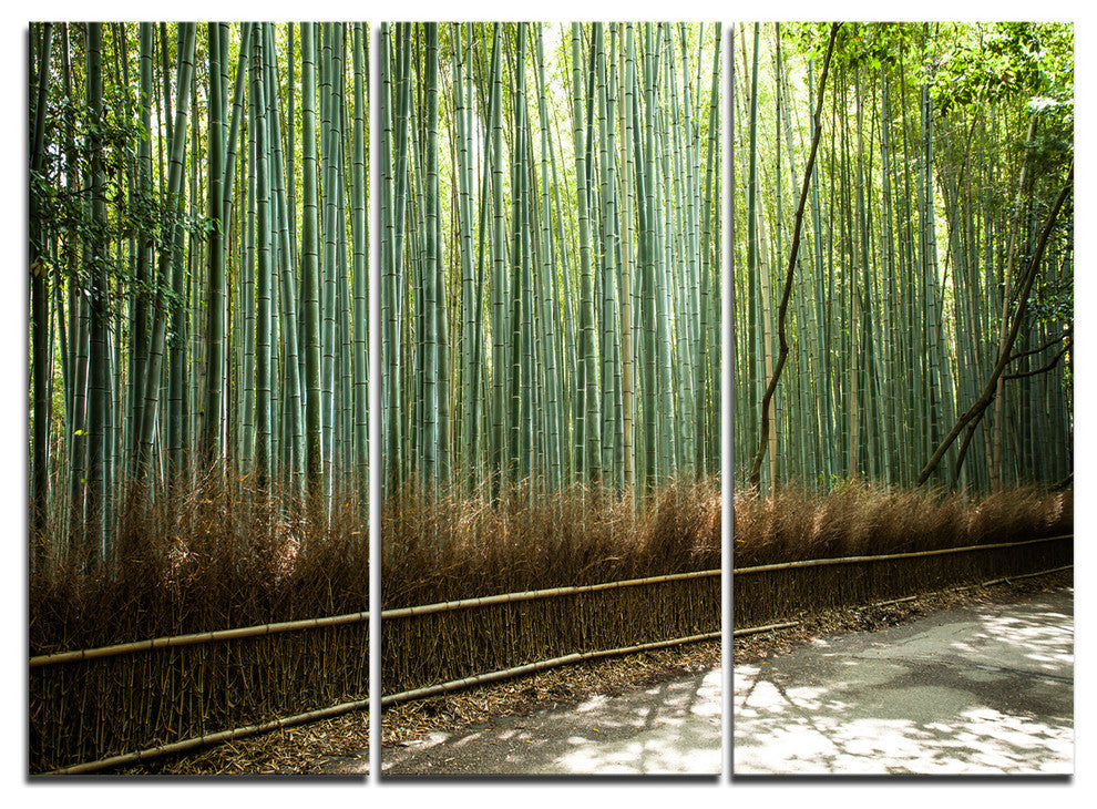 "Beautiful View of Bamboo Forest" Wall Art Print, 3 Panels, 36"x28"
