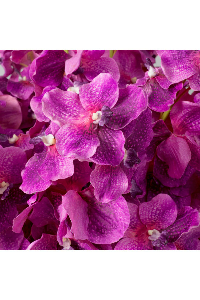 Artificial Orchids Bouquet, 24-Pieces, Eichholtz Vanda, Fuchsia