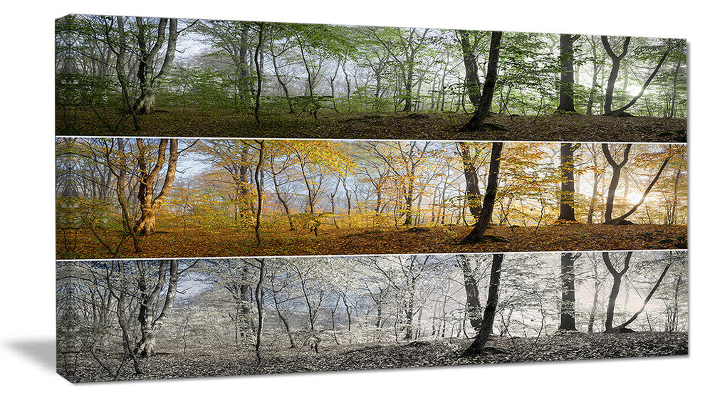 Three Seasons Forest Panorama, Landscape Canvas Art Print, 40x20