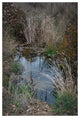 PETALUMA ROAD TRIP #2, 40x60