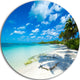 Tropical Beach With Palm Shadows, Seashore Disc Metal Wall Art, 11"