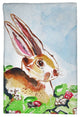 Jack Rabbit - Right Kitchen Towel - Two Sets of Two (4 Total)