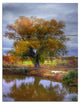 "Willow Near Pond" Photography Metal Wall Art, 3 Panels, 28"x36"