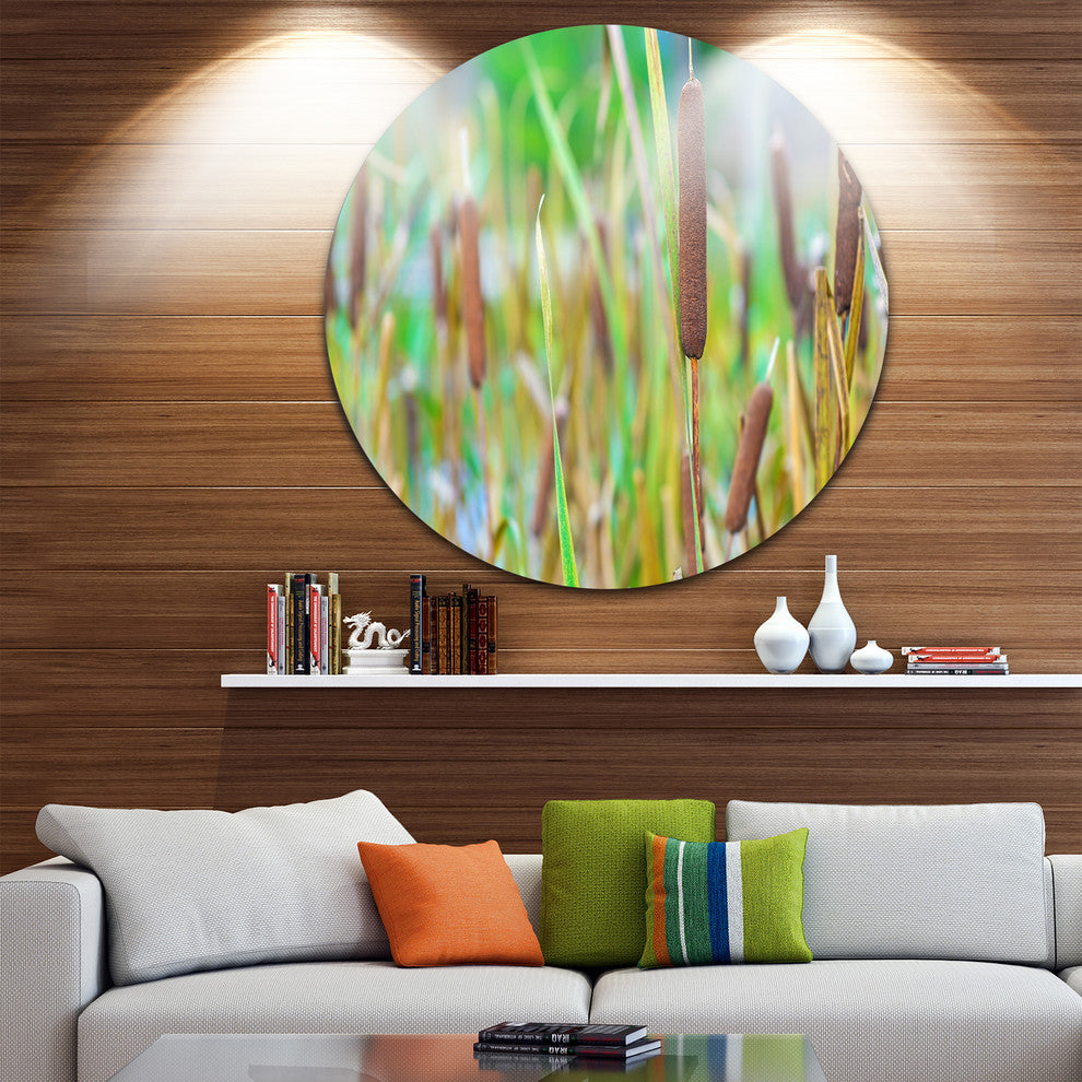 The Reeds, Landscape Photography Large Disc Metal Wall Art, 36"