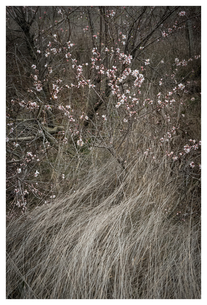 PETALUMA ROAD TRIP #1, 20x30