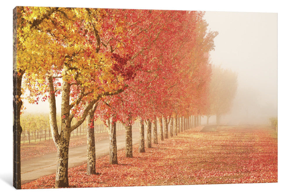 "Fall Trees in the Mist Gallery" by Abhi Ganju, 40x26x1.5"