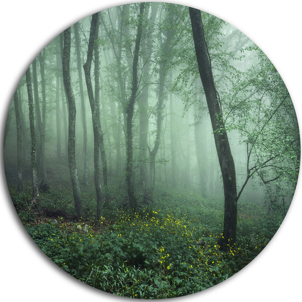 Trail Through Dark Foggy Forest, Landscape Round Metal Wall Art, 23"