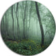 Trail Through Dark Foggy Forest, Landscape Round Metal Wall Art, 23"
