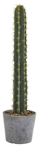 41" Cactus, Stone Planter Artificial Plant