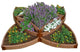 Sienna Raised Garden Bed Versailles Sunburst 8�x8�x16.5", 2" Profile