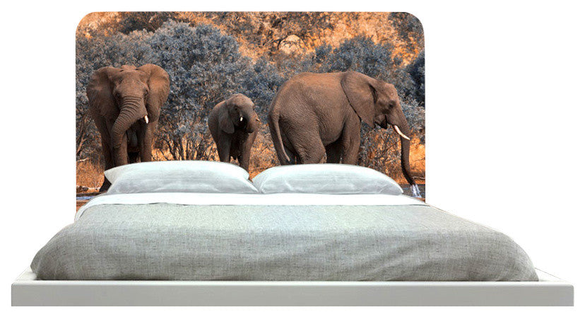 "Elephant At Watering Hole" Headboard