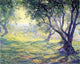 Guy Orlando Rose Provincial Olive Grove Premium Canvas Print