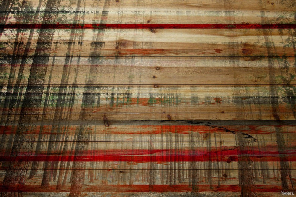 "Tall Tree Forest" Print on Natural Pine Wood, 36"x24"