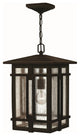 Tucker Outdoor Hanging Lantern, Oil Rubbed Bronze With Clear Seedy Glass