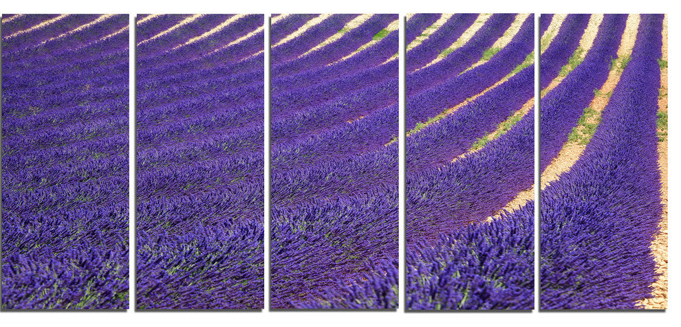 "Lavender Blooming Fields As Texture" Landscape Wall Art, 5 Panels, 60"x28"