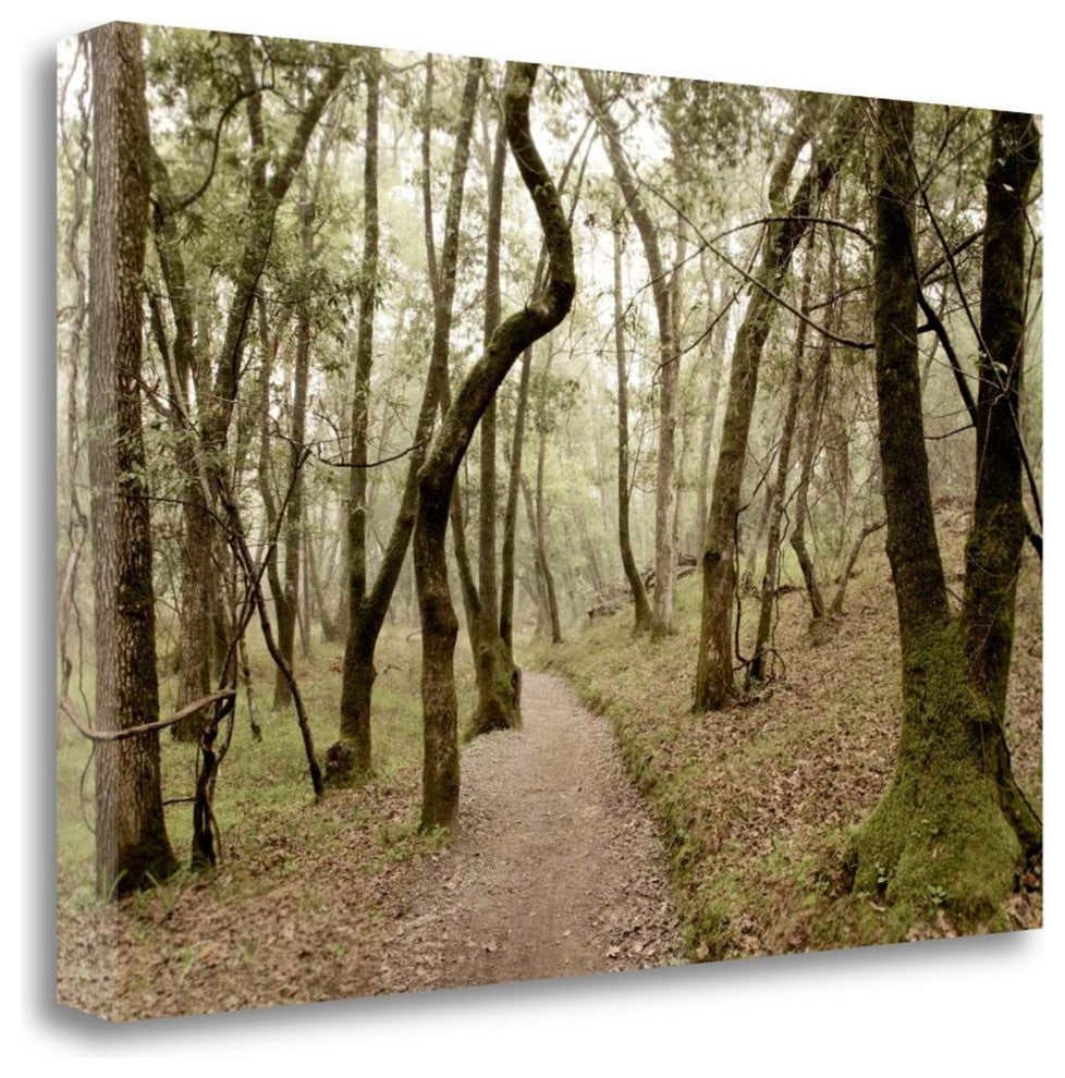 "Oak Tree - 47" By Alan Blaustein, Giclee Print on Gallery Wrap Canvas