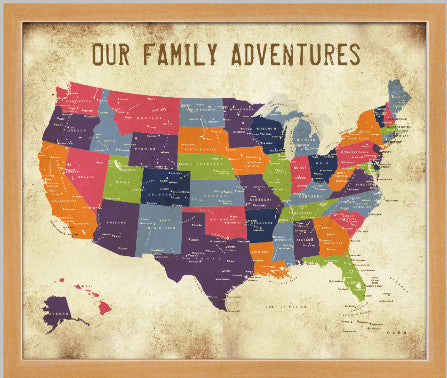 USA Map FRAMED, Vintage Inspired Map, 20X24 Inches, Push Pin US Map, Modern Blon