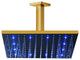 Fontana 16" Gold Plated Square Color Changing LED Rain Shower Head, Solid Brass