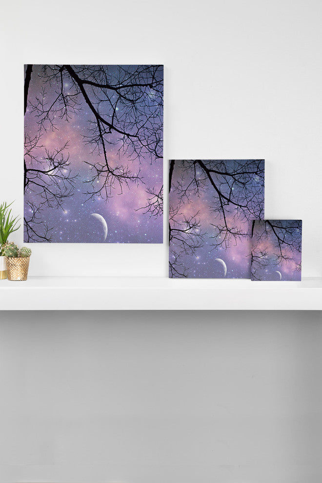 Deny Designs Shannon Clark Twinkle Twinkle Art Canvas