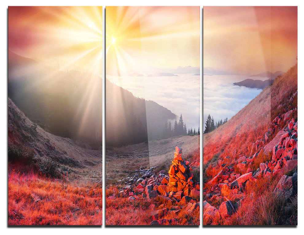 "Red Beach Forest in Carpathians" Photo Metal Wall Art, 3 Panels, 36"x28"