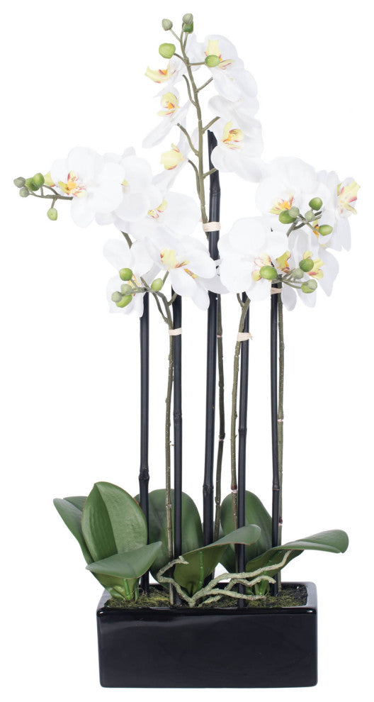 Vickerman 21" Potted Orchid X 5, White