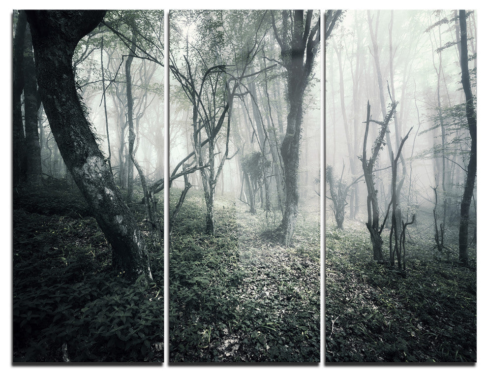 "Vintage Forest Filled With Fog" Photo Metal Wall Art, 3 Panels, 36"x28"