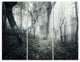 "Vintage Forest Filled With Fog" Photo Metal Wall Art, 3 Panels, 36"x28"