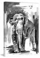 "Asian Elephant" Print on Canvas by Rachel Byler