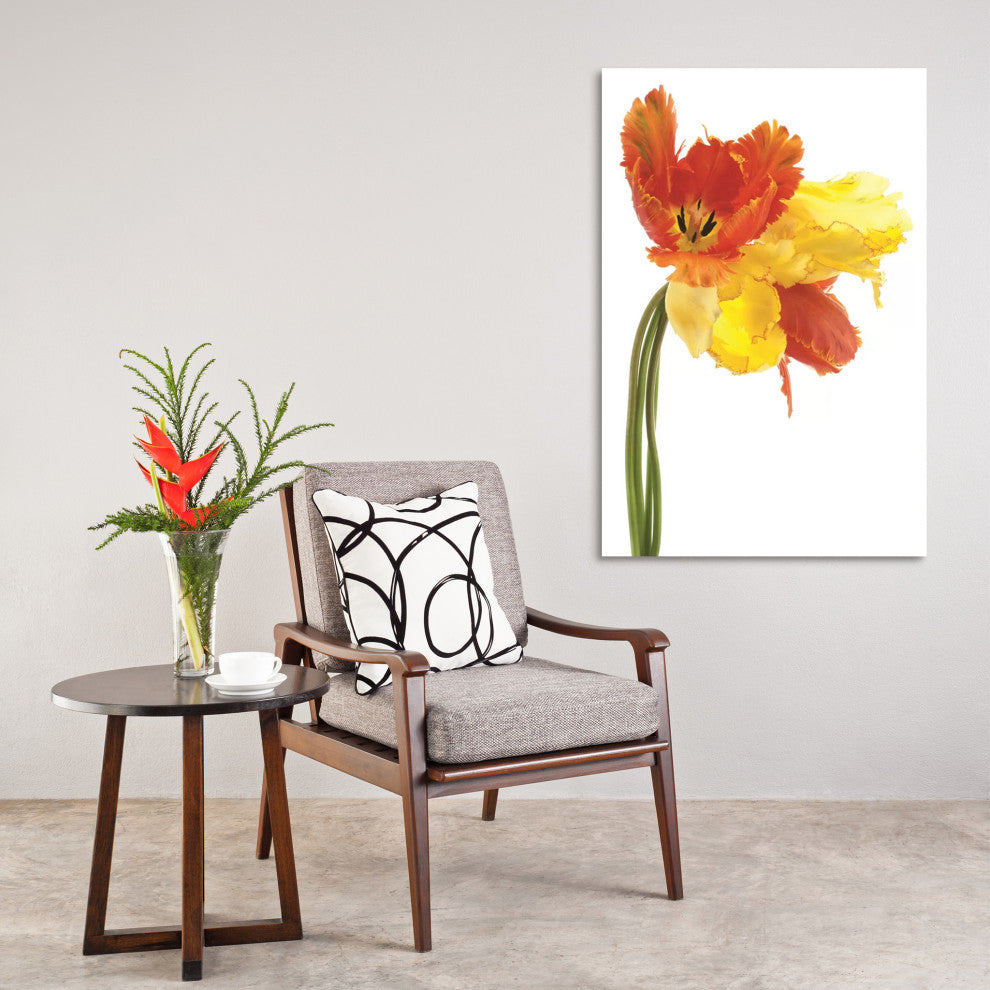 Orange Yellow Parrot Tulip Frameless Free Floating Tempered Art Glass Wall Art