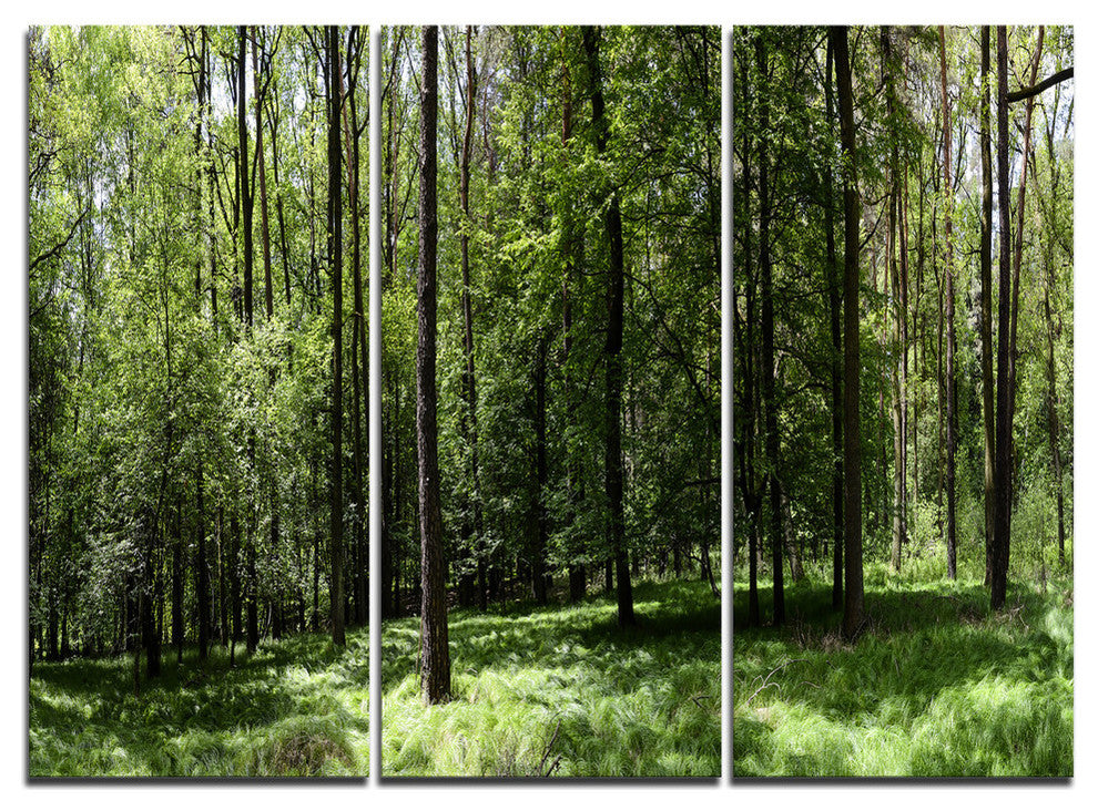 "Wild Green Forest Panorama" Oversized Forest Metal Wall Art, 3 Panels, 36"x28"