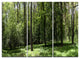 "Wild Green Forest Panorama" Oversized Forest Metal Wall Art, 3 Panels, 36"x28"