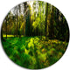 Green Forest Sunset Panorama, Landscape Round Wall Art, 36"