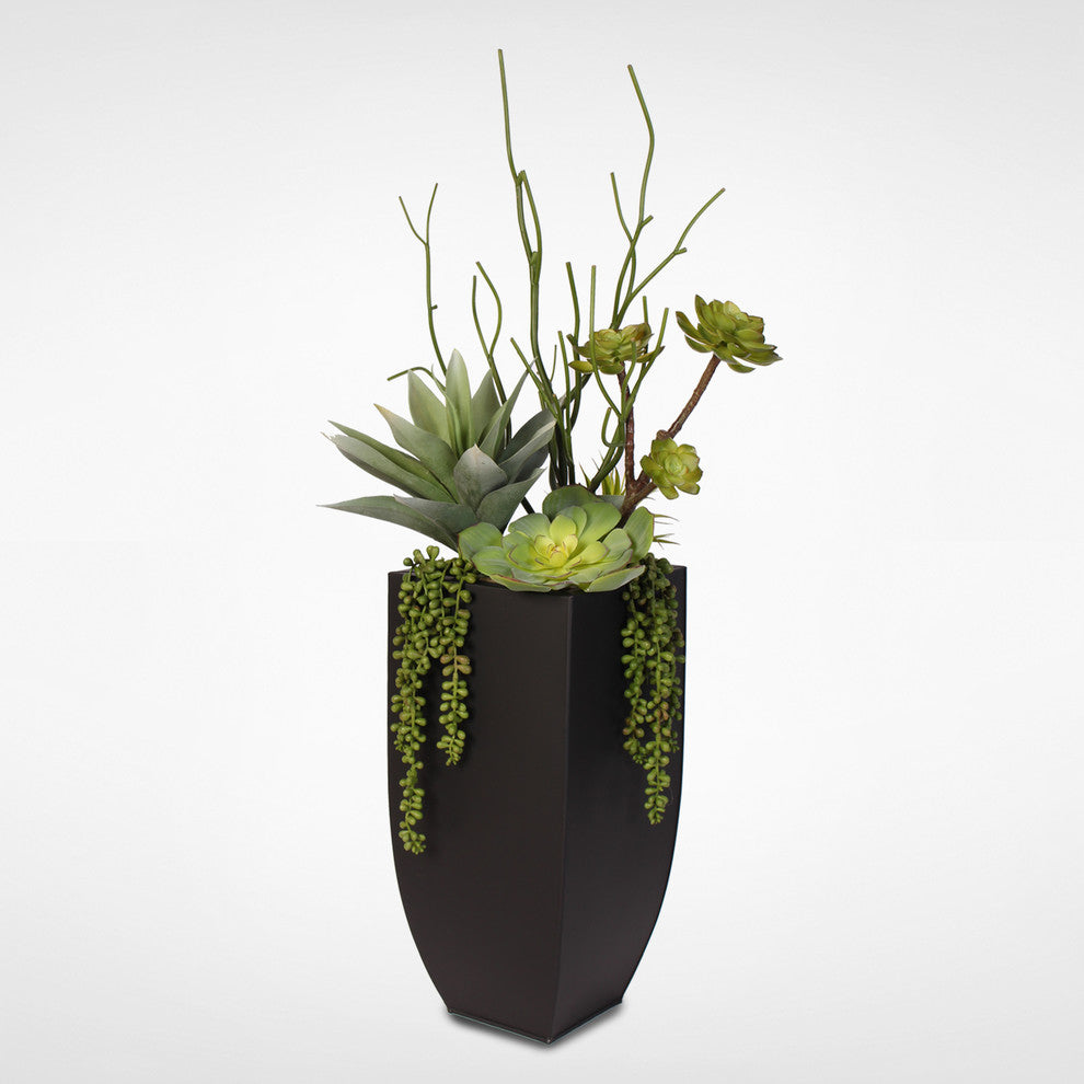 Botanical Succulent Variety With Tall Black Modern Metal Planter