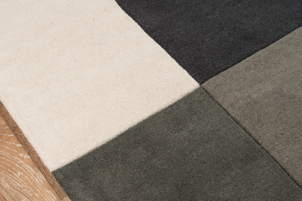 Delhi DL-22 Hand Tufted Charcoal Area Rug 8'x10'