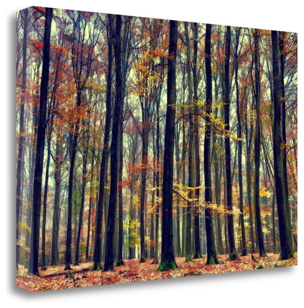 "Nature's Palette" By Lars Van De Goor, Giclee Print on Gallery Wrap Canvas