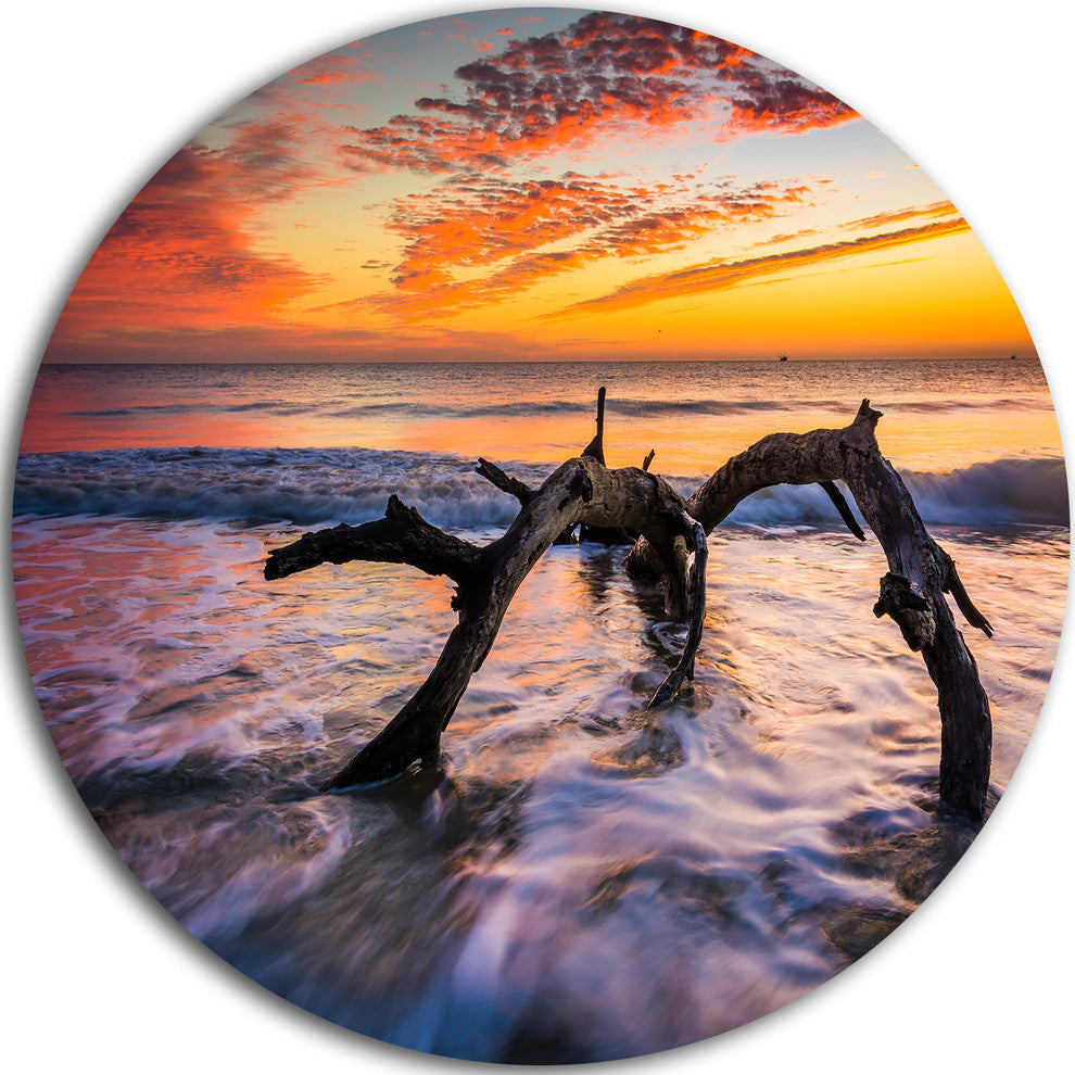 Tree And Waves In The Atlantic Ocean, Seashore Disc Metal Wall Art, 11"