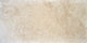 Tuscany Classic 12x24 Honed/Filled Tile