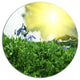 Sunny Meadow With Green Grass, Landscape Disc Metal Wall Art, 11"