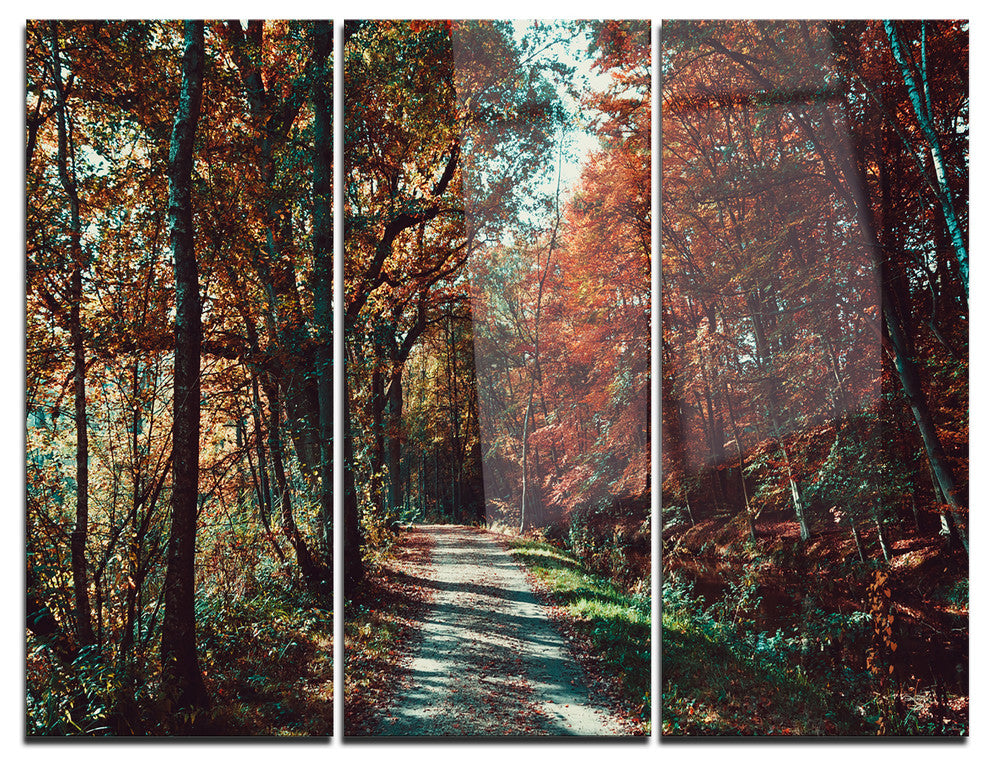 "Road Through Red Fall Forest" Photo Metal Wall Art, 3 Panels, 36"x28"